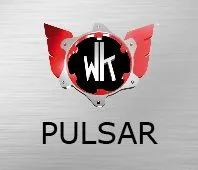 Brakes Pulsar
