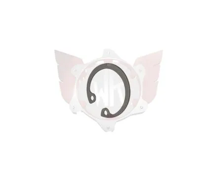 Seegerring 22mm