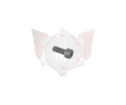 CAPHEAD ALLEN SCREW M5x12