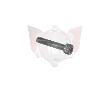 Vis BTR M6x30