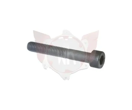Schraube M6x50