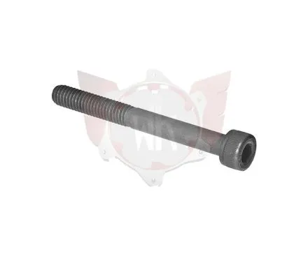 CAPHEAD ALLEN SCREW M6x55