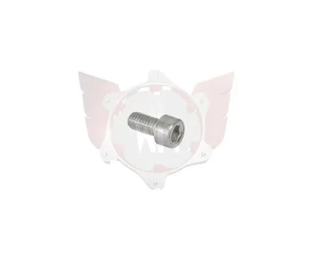 ZK-Schraube M6x12