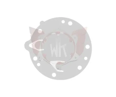 R191 - FUEL PUMP MEMBRANE TRANSPARENT