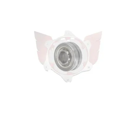 Steering column bearing