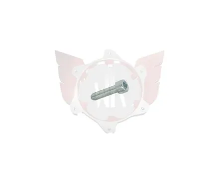 ZK-Schraube M6x30