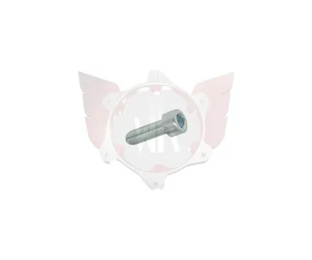 Allen screw M8x25