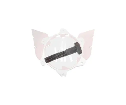 ZK-Schraube mit flachem Kopf M6x30