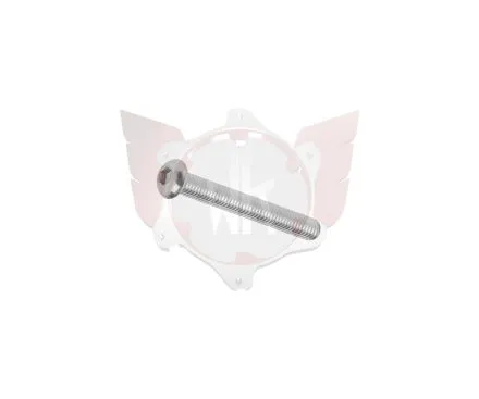 Linsenkopfschraube M6x35