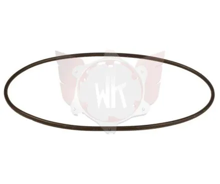 SPANNGUMMI FÜR REGENHAUBE RR