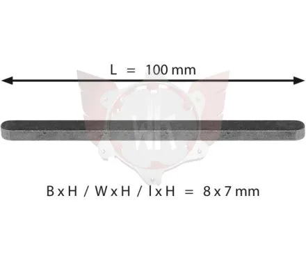 ACHSKEIL 8x7x100mm