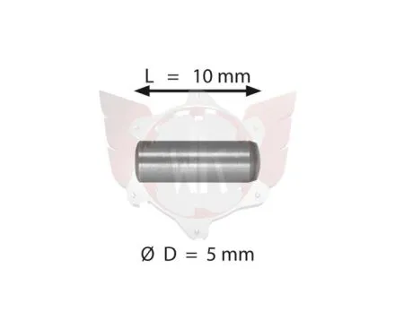 PIN 5x10 mm