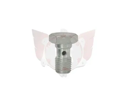 HOLLOW SCREW M8x1