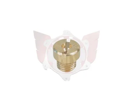 HAUPTDÜSE 6mm GRÖSSE 100