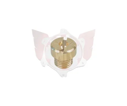 Gicleur marche 6mm taille 101