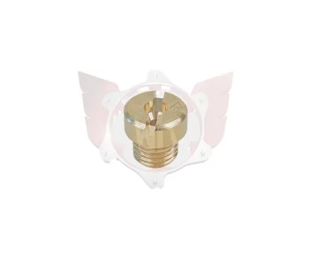 Gicleur marche 6mm taille 113