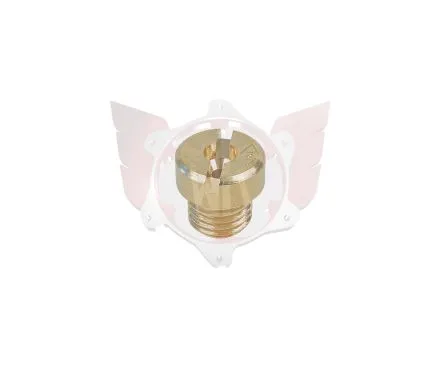 Gicleur marche 6mm taille 170