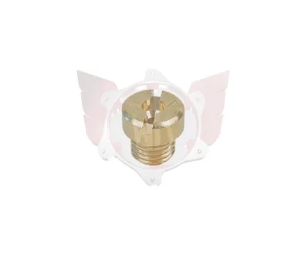 Gicleur marche 6mm taille 218
