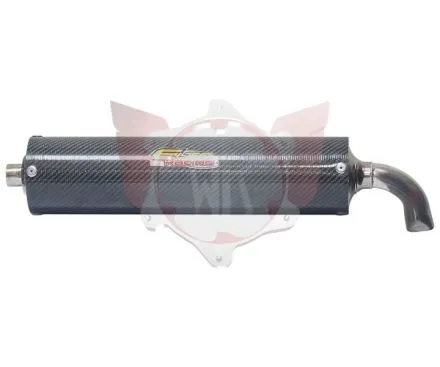 ENDSCHALLDÄMPFER ELTO CARBON 2012