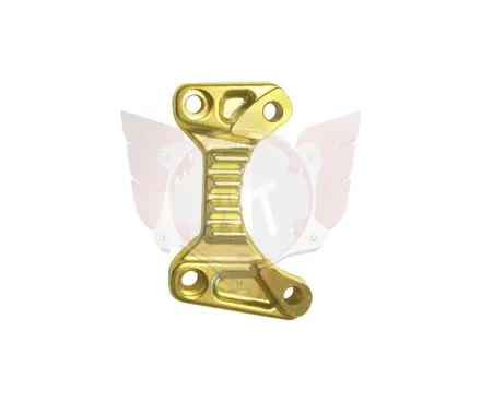 Bremssattelaufnahme V09/10 Ø 189 gold