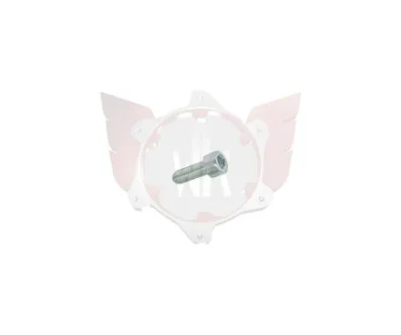 COUNTERSUNK ALLEN SCREW