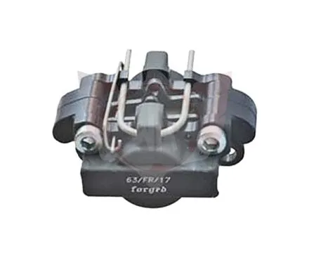 Bremssattel vorn V10, hinten Mini D24 schwarz