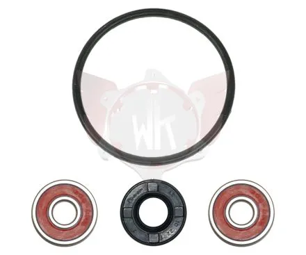 REPARATURSATZ FÜR WASSERPUMPE RACING