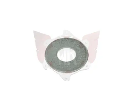 WASHER LARGE PENNY 8.4x20x1.25mm