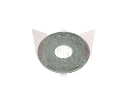 WASHER LARGE PENNY 8.4x25x1.25mm