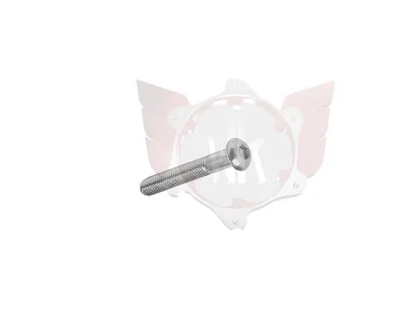 LINSENKOPFSCHRAUBE M5x30mm