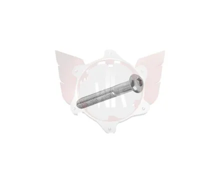 LINSENKOPFSCHRAUBE M5x35mm