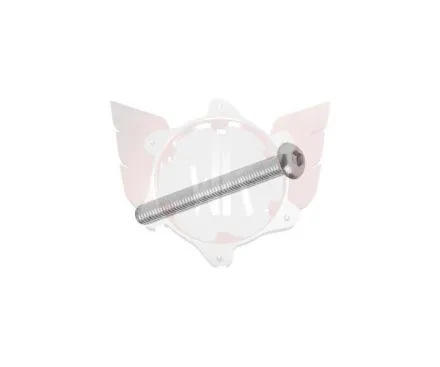 LINSENKOPFSCHRAUBE M5x40mm