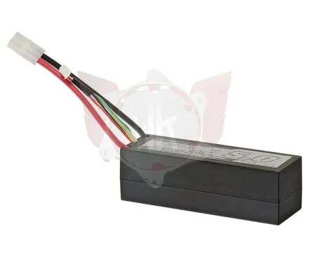BATTERIE POWERPACK NiMH 5000 mAh