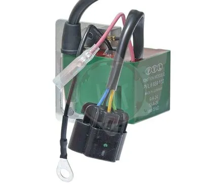 Zündspule & CDI Box 684100 PVL