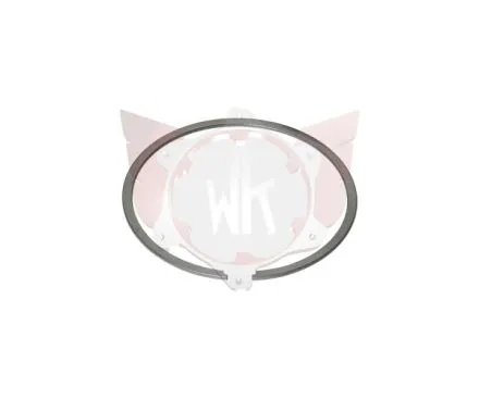 Kolbenring IS2 54/49,4x1mm