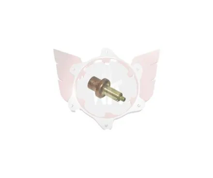 Thermostat 45°C