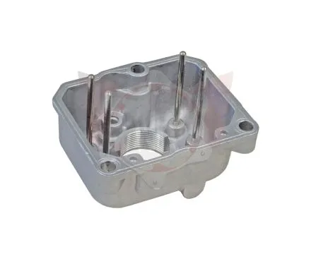 Vergaser Schwimmerkammer