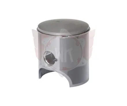 Kolben 53,99mm mit Ring