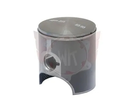Kolben 53,93mm mit Ring