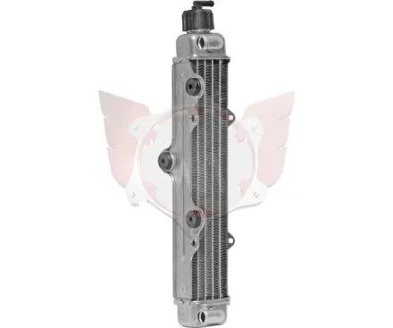 RADIATOR WITH CAP ASSY. MICRO MAX OLD MODEL