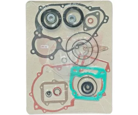 Pochette complète pour moteur DD2