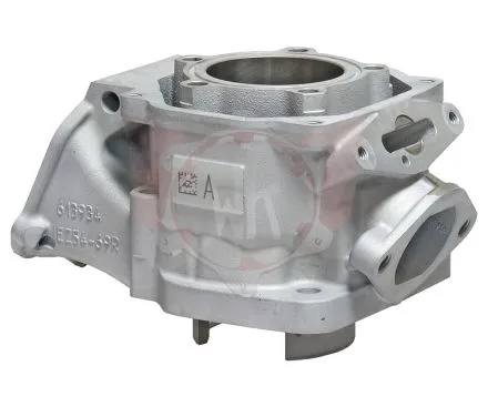 Cylindre 2024 DD2 54,000 - 54,010mm