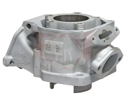 Zylinder 2024 DD2 54,015 - 54,025mm