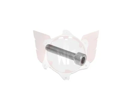 Vis BTR M6x30mm