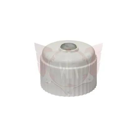 STANDARD CAP WHITE