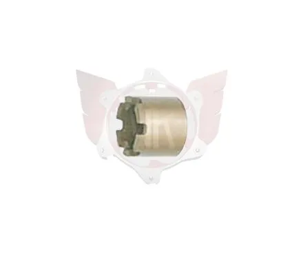 Bremskolben V09/V10/V11 hinten