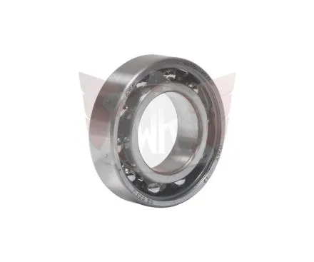 RILLENKUGELLAGER 6005TN9/C3 SKF