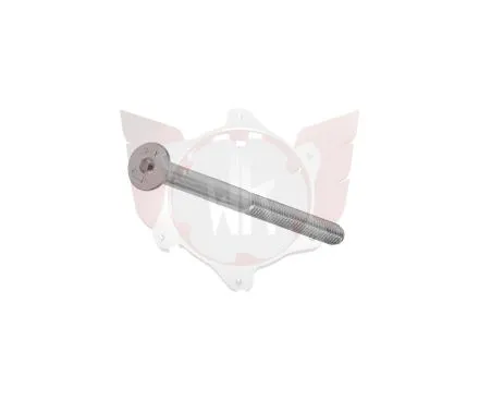 SENKKOPFSCHRAUBE 8.8 M6x55mm