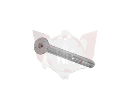 Vis FHC 8.8 M8x55mm