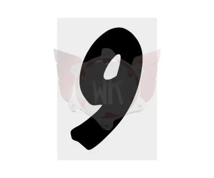 STARTNUMMER SCHWARZ GESCHWUNGEN NR. 9